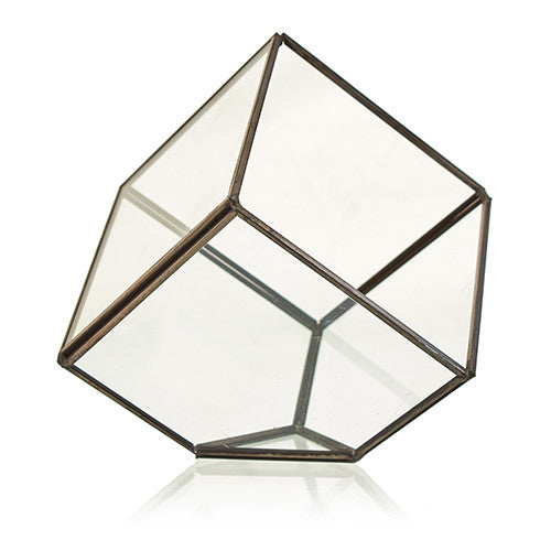 Glass Terrarium - Corner Cube