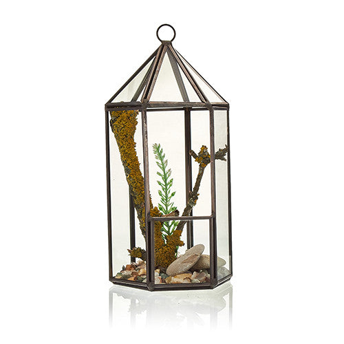 Glass Terrarium - Lantern Shaped