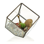 Glass Terrarium - Corner Cube