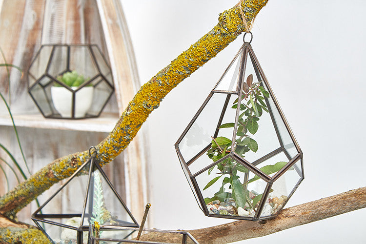 Glass Terrarium - Corner Cube