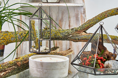 Glass Terrarium - Small Diamond