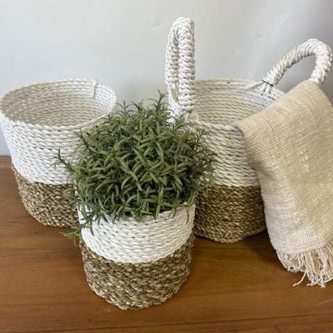Seagrass Set Of 3 Baskets - Artfully Curated Creations and identify whats in the image