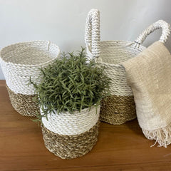 Seagrass Set Of 3 Baskets