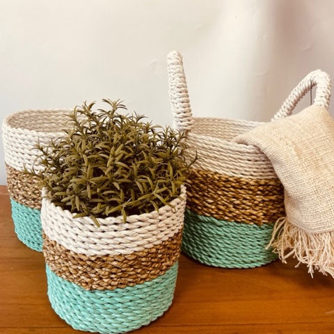 Seagrass Set Of 3 Baskets - Artfully Curated Creations and identify whats in the image