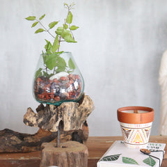 Molton Glass Large Bowl On Wooden Stand